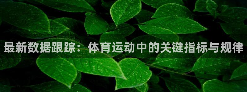 678体育app