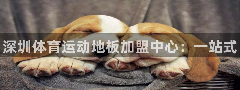 678体育官网