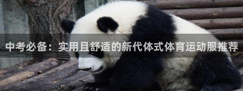 678体育官网：中考必备：实用且舒适的新代体式体育运动服推荐