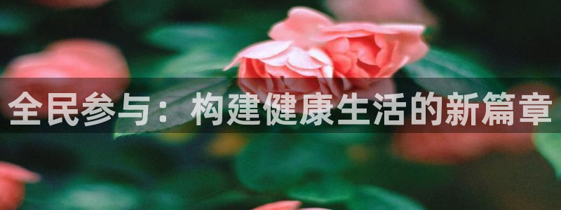 678体育官网