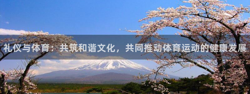 678体育知识