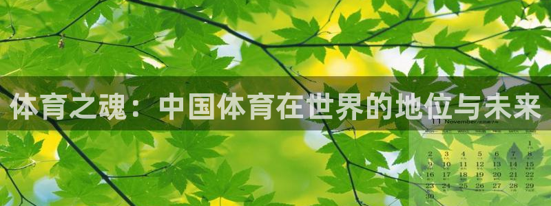 678体育app：体育之魂：中国体育在世界的地位与未来