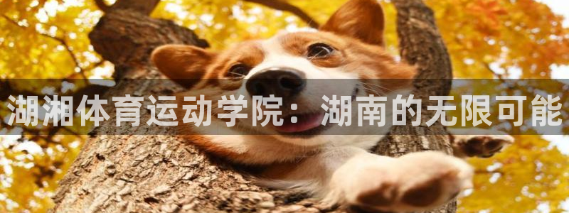 678体育