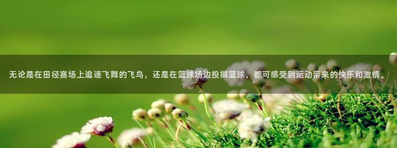 678体育官网地址：无论是在田径赛场上追逐飞舞的飞鸟，还是在篮球场边投掷篮球，都可感受到运动带来的快乐和激情。
