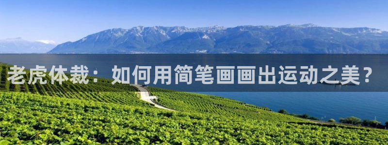 678体育官网地址：老虎体裁：如何用简笔画画出运动之美？